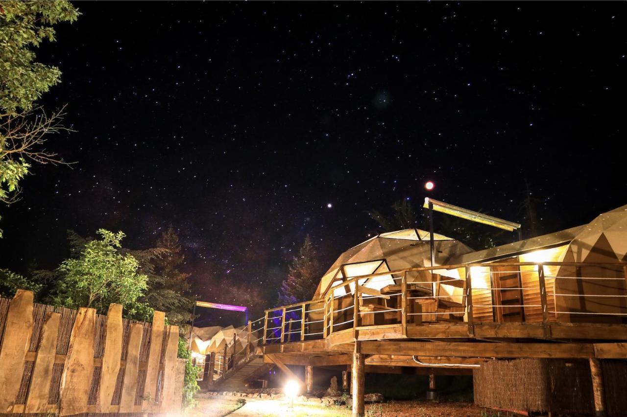 Aparthotel Xalet De 3*